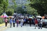 articulo relacionado