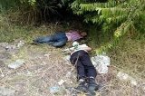 articulo relacionado