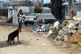 articulo relacionado