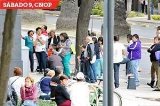 articulo relacionado
