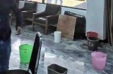 articulo relacionado