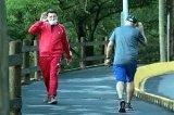 articulo relacionado