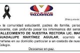 articulo relacionado