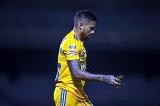 articulo relacionado